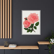 Pink Rose, La France Lithograph (1900)