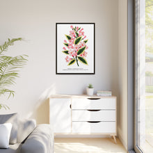 Pink flowers, Weigela lithograph (1900)