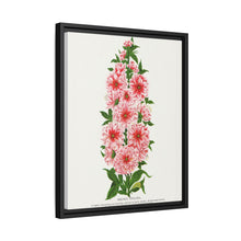Prunus Triloba flower lithograph. Digitally enhanced from our own original 1900 edition plates of Botanical Specimen published by Rochester Lithographing