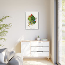 Lydon's West African Love-Bird | Vintage Avian Wall Art Print