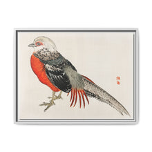 Japanese pheasant by Kōno Bairei (1844-1895) - NOMADEN ART GALLERY