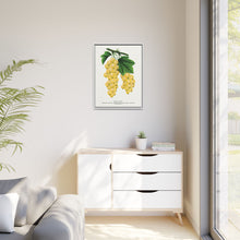 White Grape Lithograph | Vintage Botanical Wall Art Print