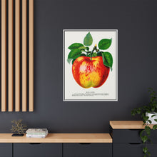 Wolf River Apple Lithograph | Vintage Botanical Wall Art Print