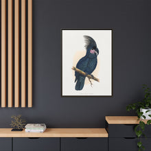 Great Black Cockatoo (Probosciger aterrimus) colored wood-engraved plate by Alexander Francis Lydon