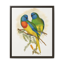 Splendid Parrakeet (Neophema splendida) colored wood-engraved plate by Alexander Francis Lydon - NOMADEN ART GALLERY