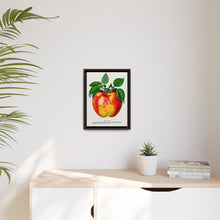 Wolf River Apple Lithograph | Vintage Botanical Wall Art Print