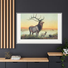 The Wapiti from Zoological sketches (1861-1867) by Joseph Wolf and Philip Lutley Sclater