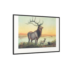 The Wapiti from Zoological sketches (1861-1867) by Joseph Wolf and Philip Lutley Sclater