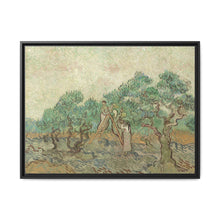 Vincent van Gogh's The Olive Orchard (1889) - Historical Art Canvas Print - NOMADEN ART GALLERY