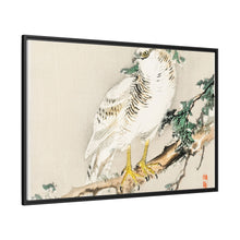 Northern mockingbird by Kōno Bairei (1844-1895)