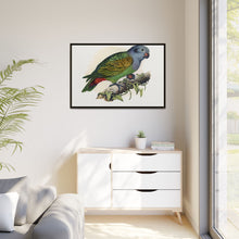 Red-Vented Parrot (Amazona martinicana) colored wood-engraved plate by Alexander Francis Lydon