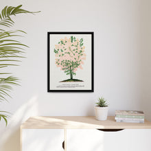 Purple Fringe tree lithograph. Digitally enhanced from our own original 1900 edition plates of Botanical Specimen published by Rochester Lithographing