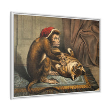 A monkey physician examining a cat patient for fleas. Coloured lithograph