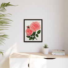 Pink Rose, La France Lithograph (1900)