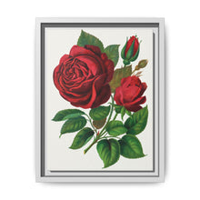 Red Rose, Prince Camille De Rohan Lithograph - NOMADEN ART GALLERY