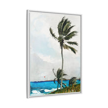Palm Tree, Nassau (1898) by Winslow Homer