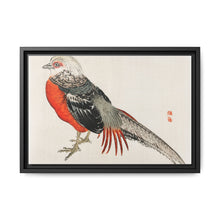 Japanese pheasant by Kōno Bairei (1844-1895) - NOMADEN ART GALLERY