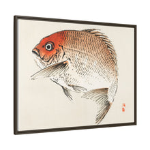 Tai (Red Seabream) fish by Kōno Bairei