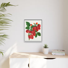 Shaffer's Colossal Raspberry Lithograph (1900)
