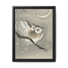Long-eared owl in ginkgo (1900 - 1930) by Ohara Koson