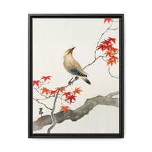 Japanese plague bird on maple (1900 - 1936) by Ohara Koson
