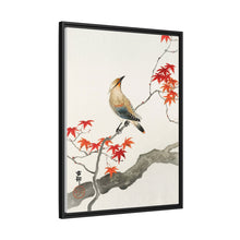 Japanese plague bird on maple (1900 - 1936) by Ohara Koson
