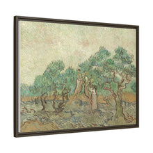 Vincent van Gogh's The Olive Orchard (1889) - NOMADEN ART GALLERY