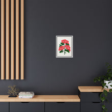Paul's New Double Flowering Thorn lithograph. Digitally enhanced from our own original 1900 edition plates of Botanical Specimen published by Rochester Lithographing