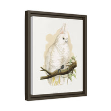 Goffin's Cockatoo (Cacatua goffiniana) colored wood-engraved plate by Alexander Francis Lydon.