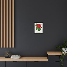 Red rose, General Jacquemont flower lithograph. Digitally enhanced from our own original 1900 edition plates of Botanical Specimen published by Rochester Lithographing - NOMADEN ART GALLERY