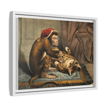 A monkey physician examining a cat patient for fleas. Coloured lithograph