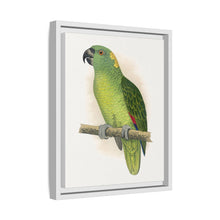 Lydon's Yellow-Naped Amazon | Vintage Parrot Wall Art Print