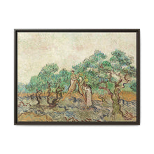 The Olive Orchard (1889) by Vincent van Gogh - Antique Framed Art Print - NOMADEN ART GALLERY