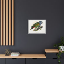 Red-Vented Parrot (Amazona martinicana) colored wood-engraved plate by Alexander Francis Lydon