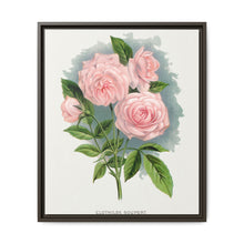 Pink rose, Clothilde Soupert lithograph. Digitally enhanced from our own original 1900 edition plates of Botanical Specimen published by Rochester Lithographing - NOMADEN ART GALLERY