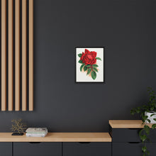 Red rose, Alfred Colomb lithograph. Digitally enhanced from our own original 1900 edition plates of Botanical Specimen published by Rochester Lithographing