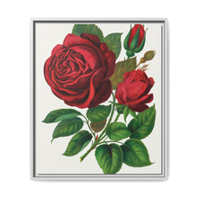 Red Rose, Prince Camille De Rohan Lithograph - NOMADEN ART GALLERY