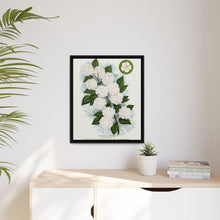 Japanese snowball flower lithograph. Digitally enhanced from our own original 1900 edition plates of Botanical Specimen published by Rochester Lithographing