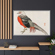 Japanese pheasant by Kōno Bairei (1844-1895)