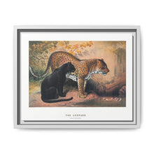 The Leopard from Zoological sketches (1861-1867) by Joseph Wolf and Philip Lutley Sclater - NOMADEN ART GALLERY
