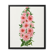 Prunus Triloba flower lithograph. Digitally enhanced from our own original 1900 edition plates of Botanical Specimen published by Rochester Lithographing - NOMADEN ART GALLERY