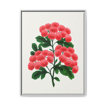 Paul's New Double Flowering Thorn lithograph. Digitally enhanced from our own original 1900 edition plates of Botanical Specimen published by Rochester Lithographing - NOMADEN ART GALLERY