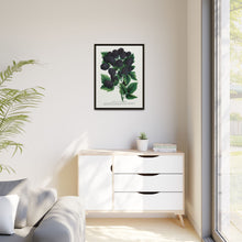 Wachusett Blackberry Lithograph | Vintage Botanical Wall Art