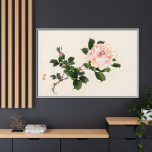 Pink rose by Kōno Bairei (1844-1895)
