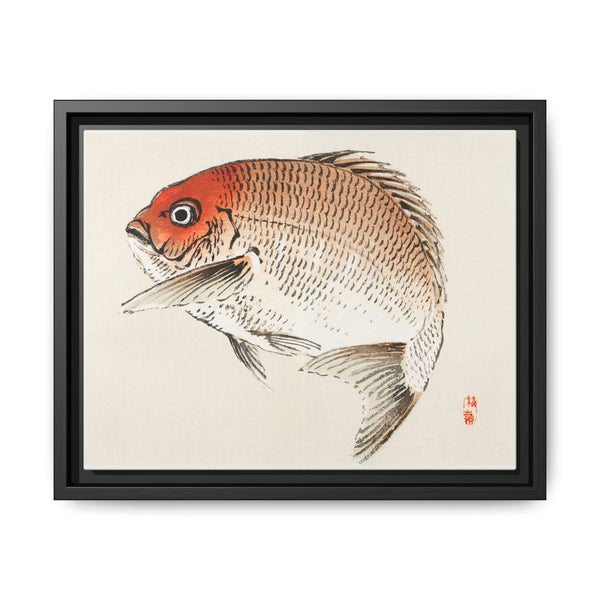 Tai (Red Seabream) fish by Kōno Bairei - NOMADEN ART GALLERY
