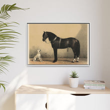 Orloffer (Orloff Horse) by Emil Volkers (1880) - An illustration of a black horse and a white dog - NOMADEN ART GALLERY