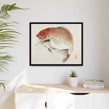 Tai (Red Seabream) fish by Kōno Bairei