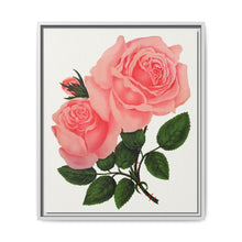 Pink Rose, La France Lithograph (1900) - NOMADEN ART GALLERY