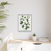 Japanese snowball flower lithograph. Digitally enhanced from our own original 1900 edition plates of Botanical Specimen published by Rochester Lithographing