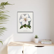Clematis flower lithograph. Digitally enhanced from our own original 1900 edition plates of Botanical Specimen published by Rochester Lithographing